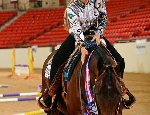 Blazing Hot Offspring Wins Rookie Amateur Trail Champions at 2014 AQHA Vegas Show