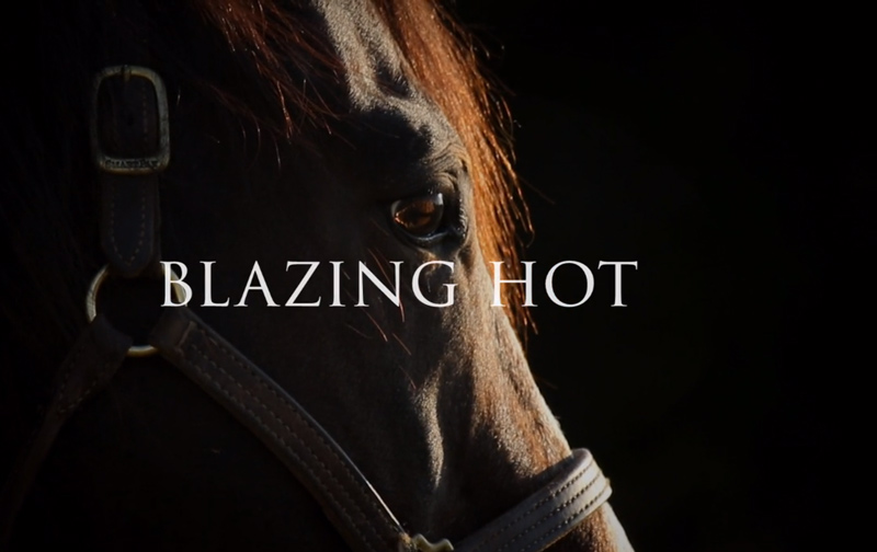 JoanLogan-Blazing-Hot-Video-Cover